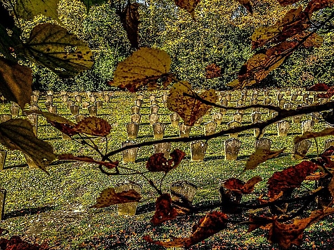 KZ Friedhof Herbst